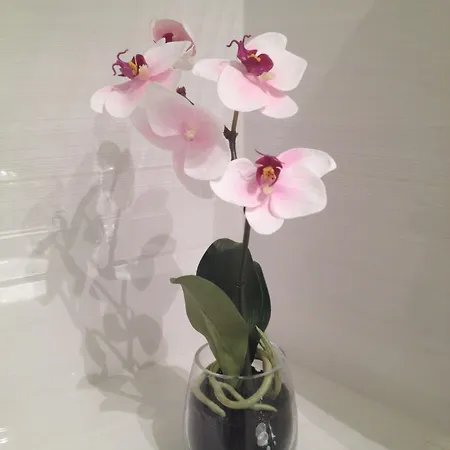 Hotel Elysees Flaubert Paris