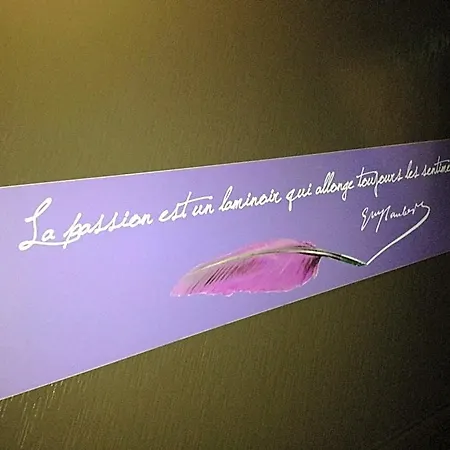 Elysées Flaubert