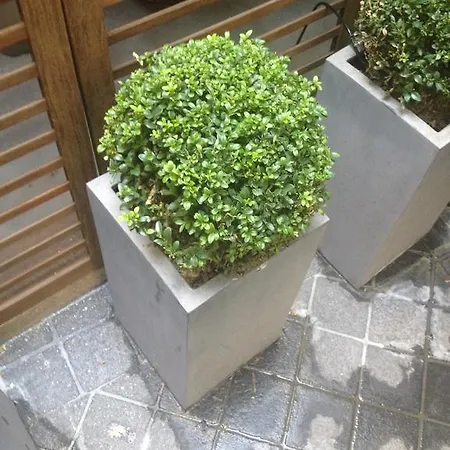 Elysees Flaubert Ξενοδοχείο 3*