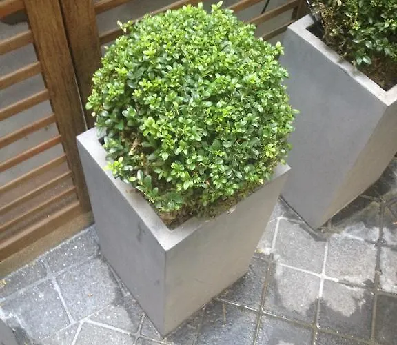 Elysées Flaubert Hotel 3*