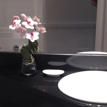 Elysees Flaubert Hotel Paris